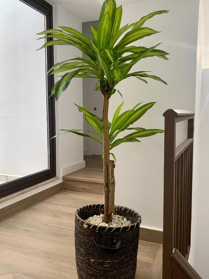 Apartment Puerta De 2 *